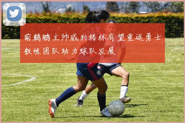 前鹈鹕主帅威利格林有望重返勇士教练团队助力球队发展
